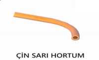 ÇİN SARI HORTUMU